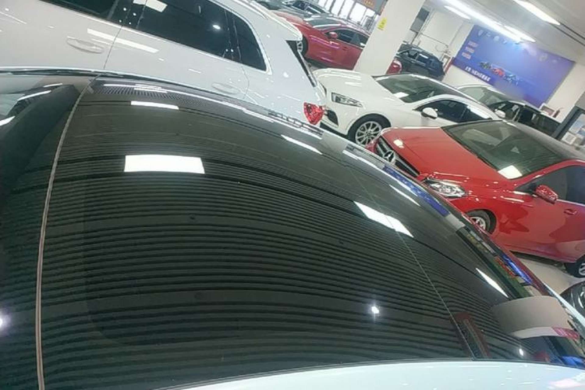 Used Tesla Model 3 2022 Rear-Wheel-Drive Version Roof