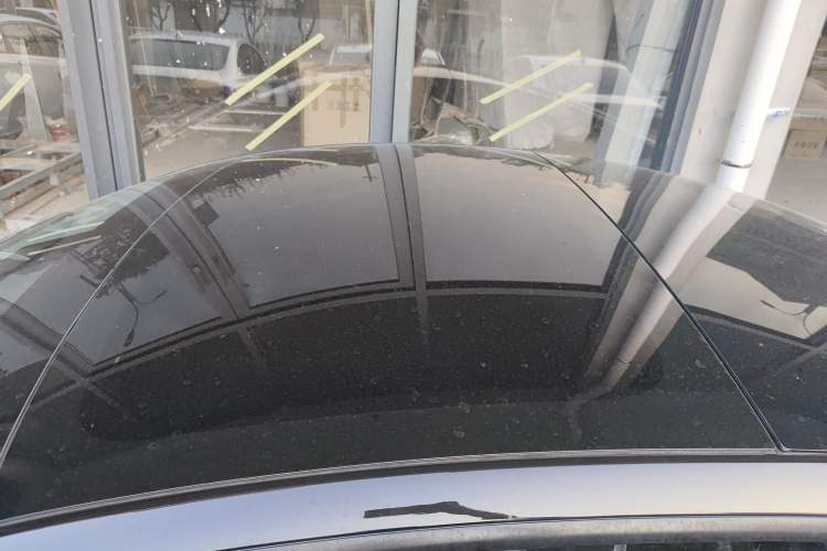 Used Tesla Model 3 2022 Rear-Wheel-Drive Version Roof