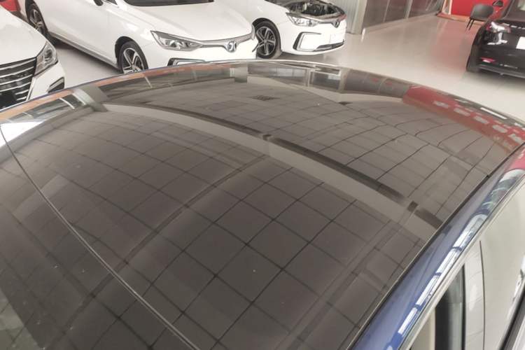 Used Tesla Model 3 2022 Rear-Wheel-Drive Version Roof