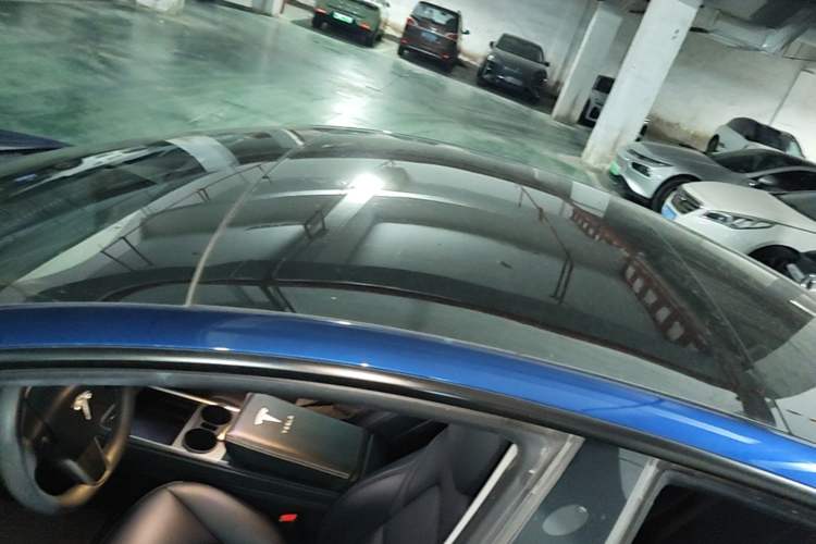 Used Tesla Model 3 2022 Rear-Wheel-Drive Version Roof