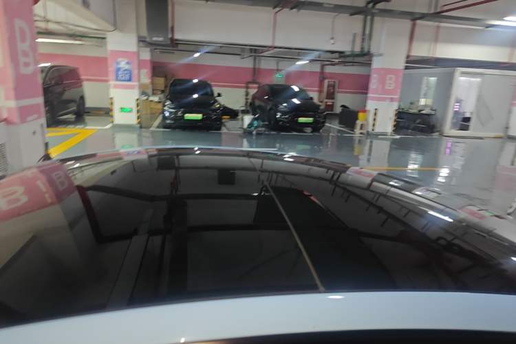 Used Tesla Model 3 2022 Rear-Wheel-Drive Version Roof