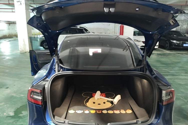 Used Tesla Model 3 2022 Rear-Wheel-Drive Version Trunk