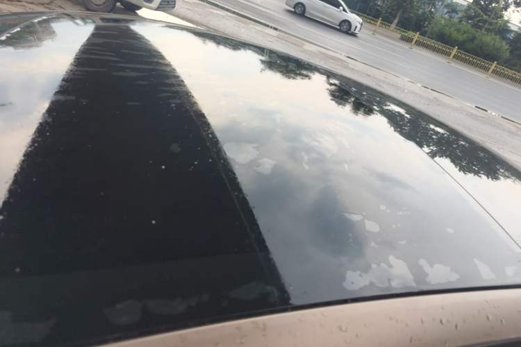 Used Tesla Model 3 2022 Rear-Wheel-Drive Version Roof