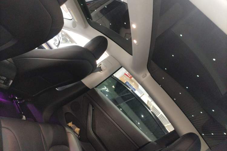 Used Tesla Model 3 2022 Rear-Wheel-Drive Version Headliner