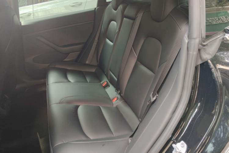 Used Tesla Model 3 2022 Rear-Wheel-Drive Version Left Rear Seat