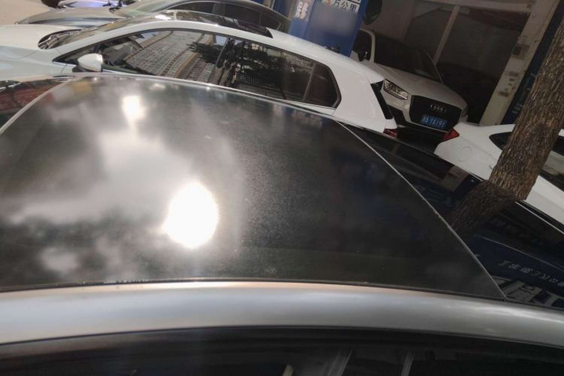Used Tesla Model 3 2022 Rear-Wheel-Drive Version Roof