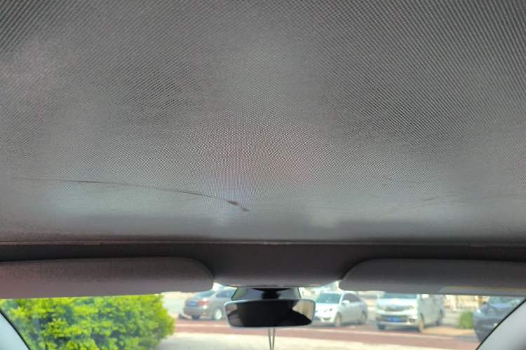 Used Tesla Model 3 2022 Rear-Wheel-Drive Version Headliner