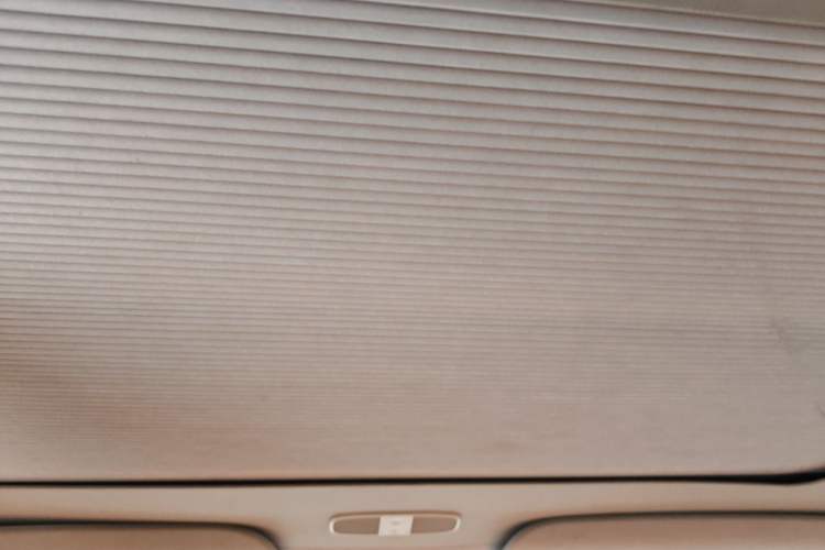 Used Tesla Model 3 2022 Rear-Wheel-Drive Version Headliner