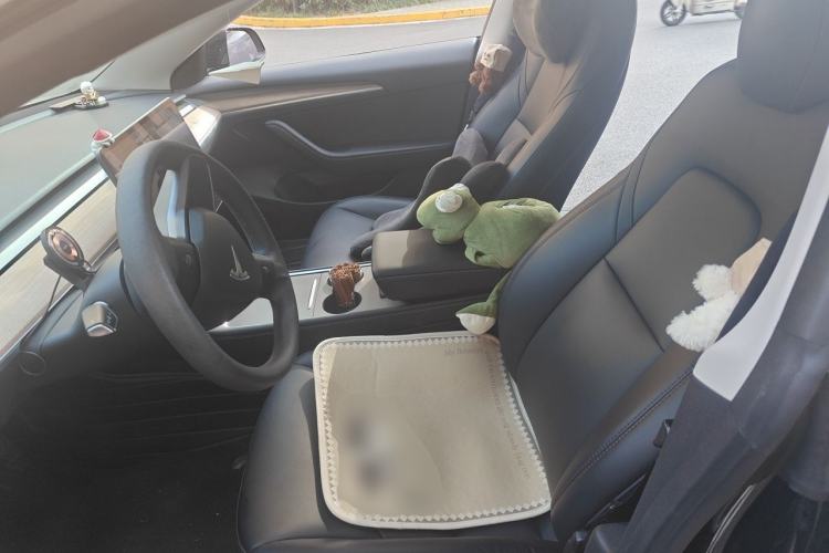 Used Tesla Model 3 2022 Rear-Wheel-Drive Version Left Front Seat