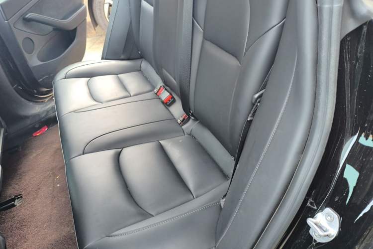 Used Tesla Model 3 2022 Rear-Wheel-Drive Version Left Rear Seat