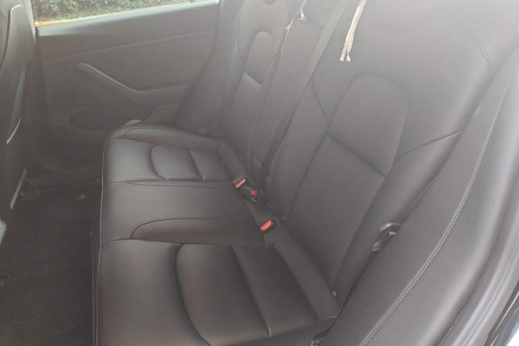 Used Tesla Model 3 2022 Rear-Wheel-Drive Version Left Rear Seat