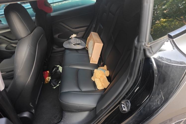 Used Tesla Model 3 2022 Rear-Wheel-Drive Version Left Rear Seat