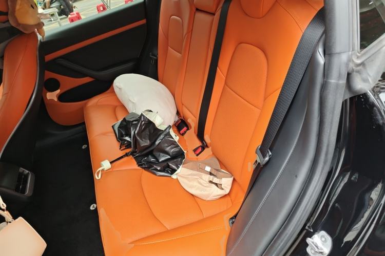 Used Tesla Model 3 2022 Rear-Wheel-Drive Version Left Rear Seat