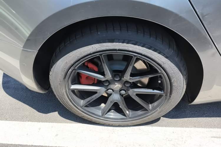 Used Tesla Model 3 2022 Rear-Wheel-Drive Version Exterior 5