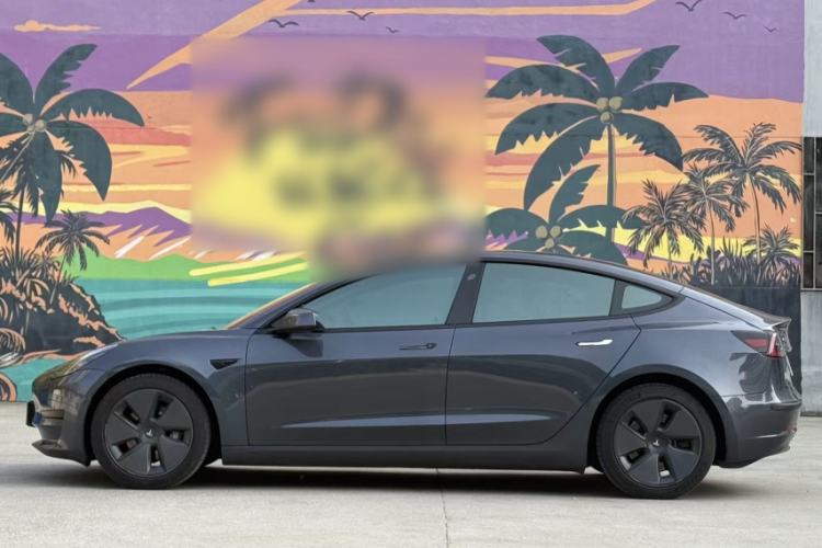 Used Tesla Model 3 2022 Rear-Wheel-Drive Version Exterior 5