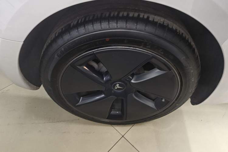 Used Tesla Model 3 2022 Rear-Wheel-Drive Version Exterior 5