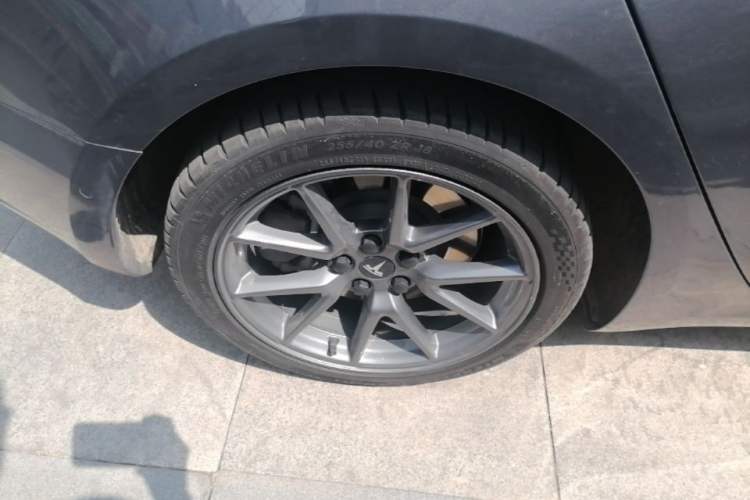 Used Tesla Model 3 2022 Rear-Wheel-Drive Version Exterior 5