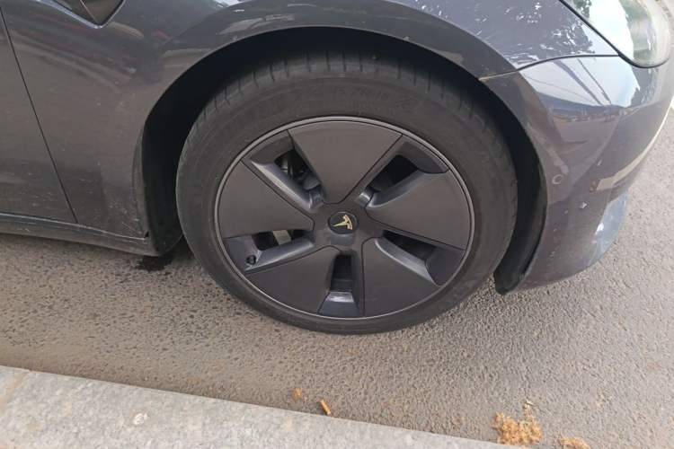 Used Tesla Model 3 2022 Rear-Wheel-Drive Version Exterior 7