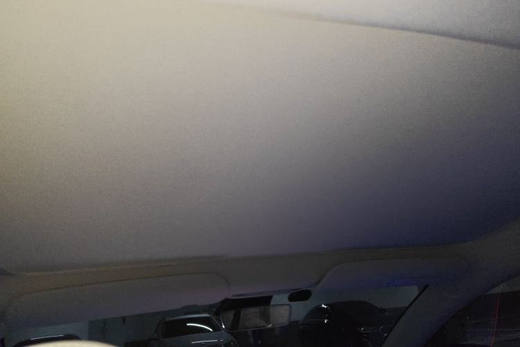 Used Tesla Model 3 2022 Rear-Wheel-Drive Version Headliner