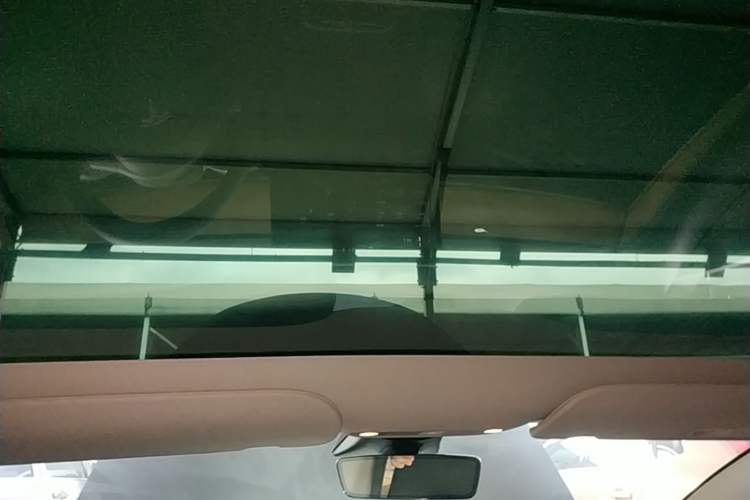 Used Tesla Model 3 2022 Rear-Wheel-Drive Version Headliner