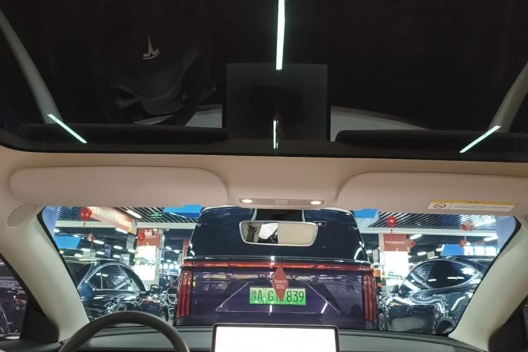 Used Tesla Model 3 2022 Rear-Wheel-Drive Version Headliner