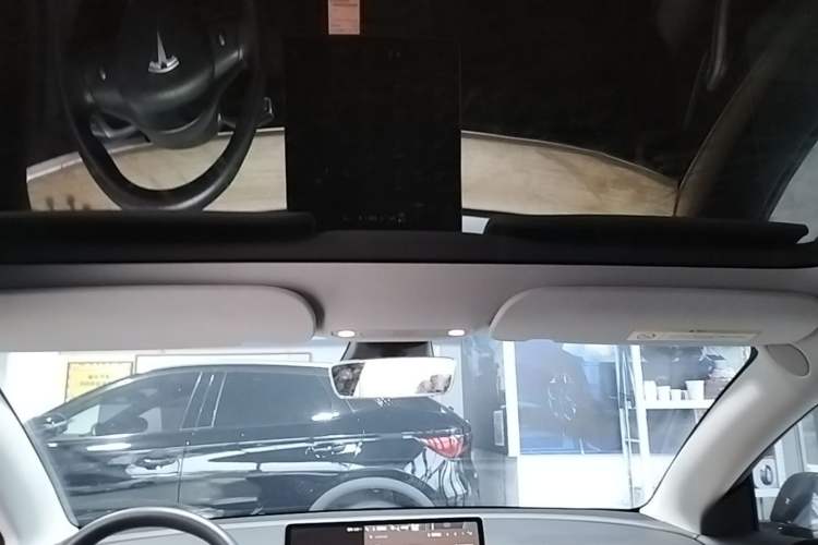 Used Tesla Model 3 2022 Rear-Wheel-Drive Version Headliner