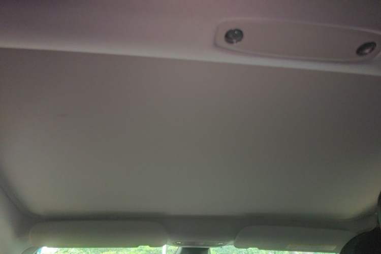 Used Tesla Model 3 2022 Rear-Wheel-Drive Version Headliner
