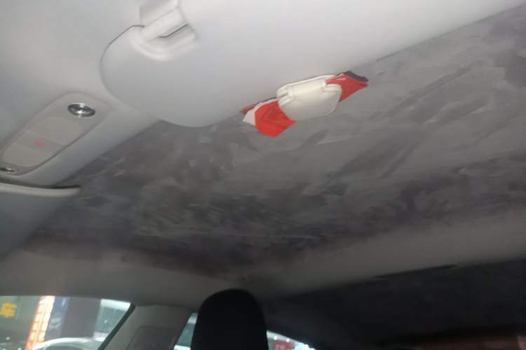 Used Tesla Model 3 2022 Performance High-Performance All-Wheel-Drive Version Headliner