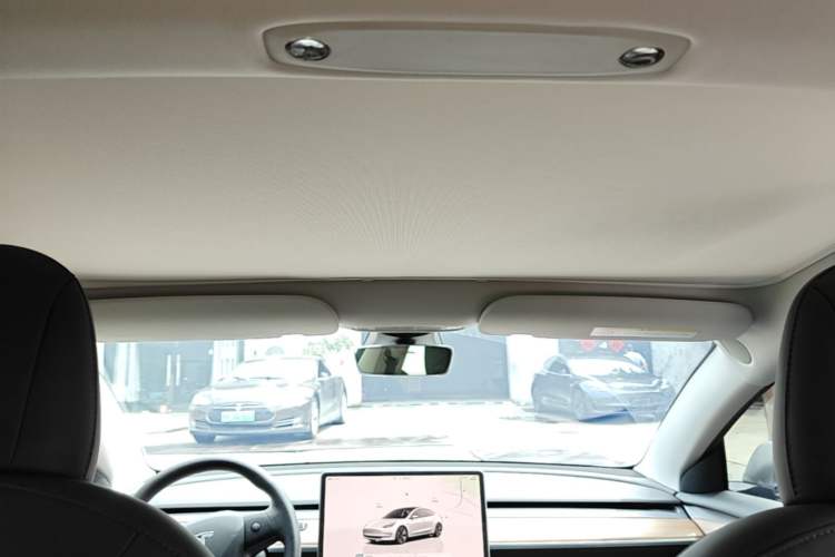 Used Tesla Model 3 2022 Rear-Wheel-Drive Version Headliner