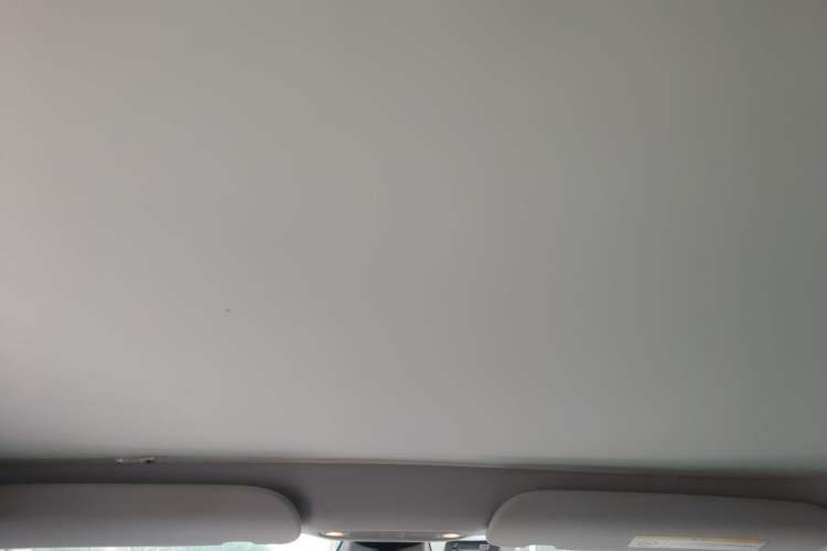 Used Tesla Model 3 2022 Rear-Wheel-Drive Version Headliner