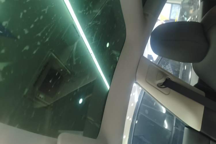 Used Tesla Model 3 2022 Performance High-Performance All-Wheel-Drive Version Headliner