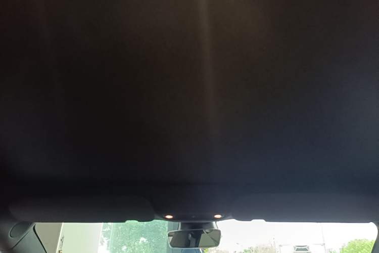 Used Tesla Model 3 2022 Rear-Wheel-Drive Version Headliner