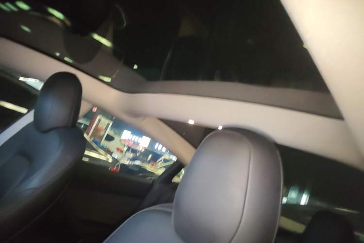 Used Tesla Model 3 2022 Rear-Wheel-Drive Version Headliner