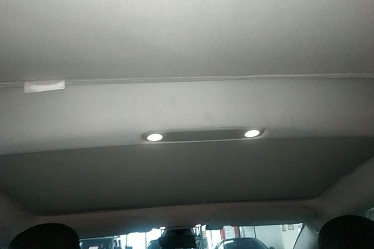 Used Tesla Model 3 2022 Rear-Wheel-Drive Version Headliner