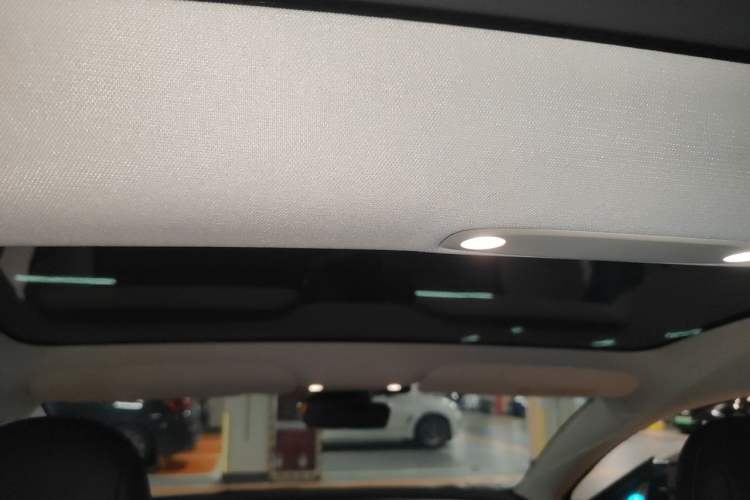 Used Tesla Model 3 2022 Performance High-Performance All-Wheel-Drive Version Headliner