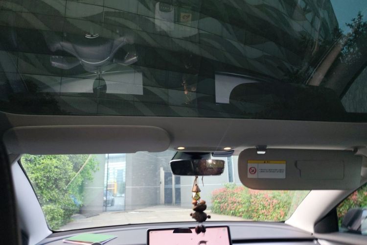 Used Tesla Model 3 2022 Performance High-Performance All-Wheel-Drive Version Headliner