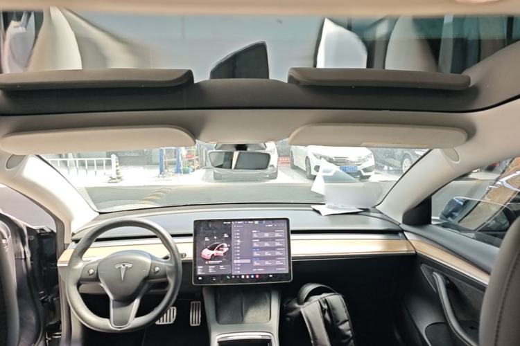 Used Tesla Model 3 2022 Performance High-Performance All-Wheel-Drive Version Headliner