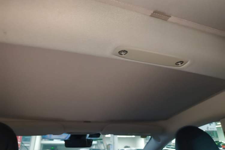Used Tesla Model 3 2022 Rear-Wheel-Drive Version Headliner