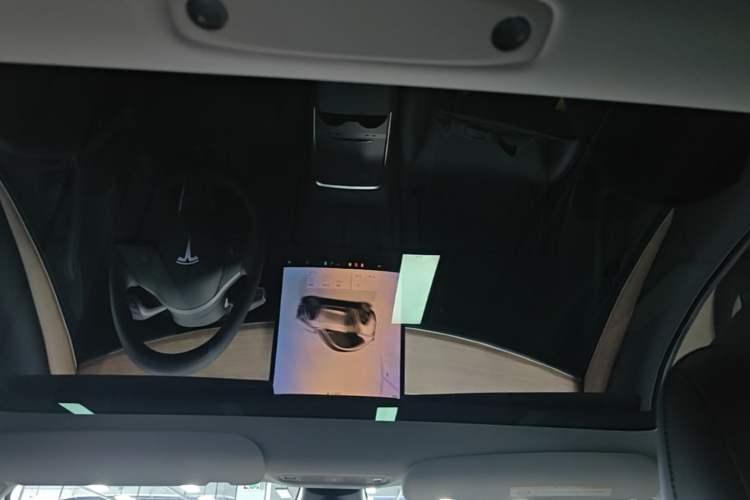 Used Tesla Model 3 2022 Rear-Wheel-Drive Version Headliner