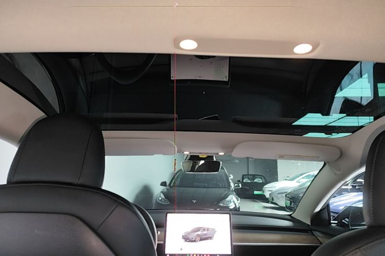 Used Tesla Model 3 2022 Performance High-Performance All-Wheel-Drive Version Headliner