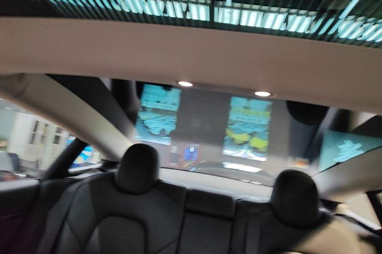 Used Tesla Model 3 2022 Rear-Wheel-Drive Version Headliner