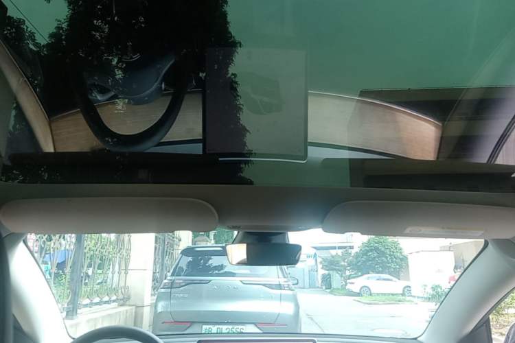 Used Tesla Model 3 2022 Performance High-Performance All-Wheel-Drive Version Headliner