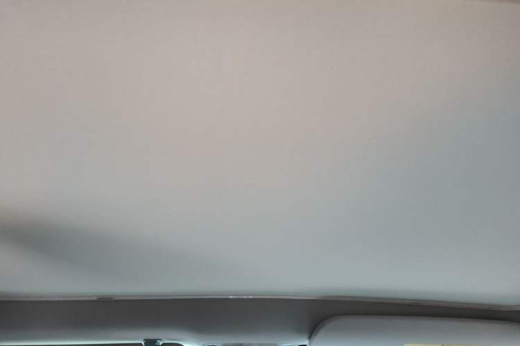 Used Tesla Model 3 2022 Rear-Wheel-Drive Version Headliner