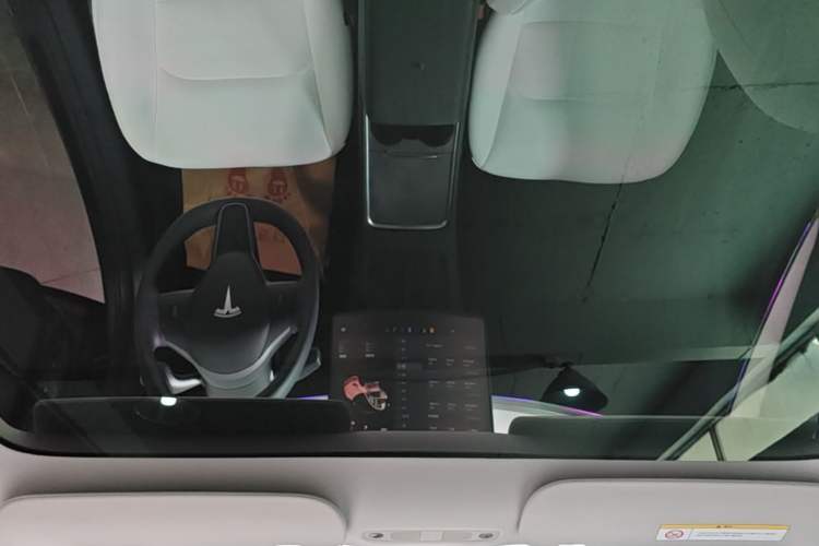 Used Tesla Model 3 2022 Rear-Wheel-Drive Version Headliner