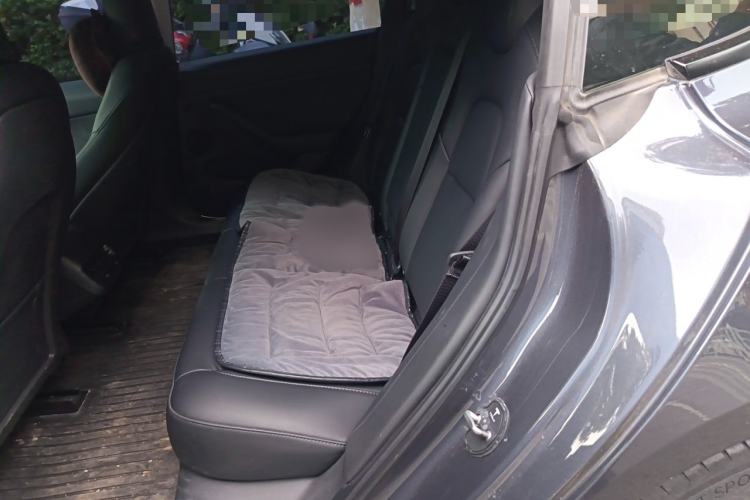 Used Tesla Model 3 2022 Rear-Wheel-Drive Version Interior 4
