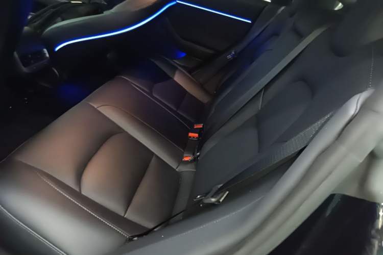 Used Tesla Model 3 2022 Rear-Wheel-Drive Version Left Rear Seat