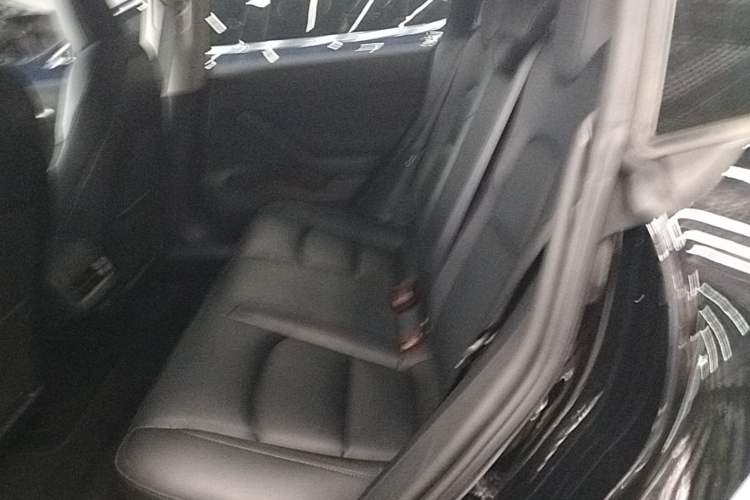 Used Tesla Model 3 2022 Performance High-Performance All-Wheel-Drive Version Left Rear Seat