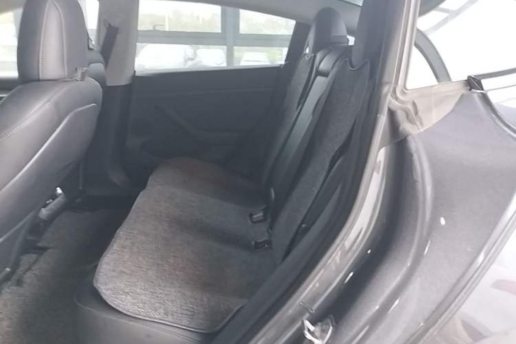 Used Tesla Model 3 2022 Rear-Wheel-Drive Version Left Rear Seat