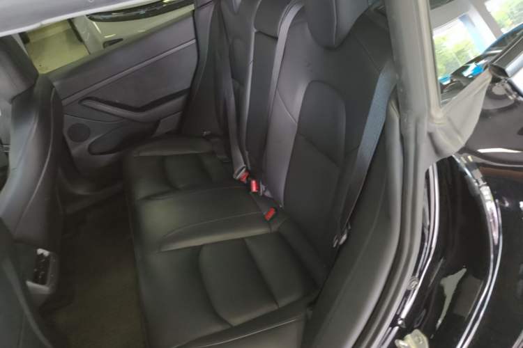 Used Tesla Model 3 2022 Rear-Wheel-Drive Version Left Rear Seat