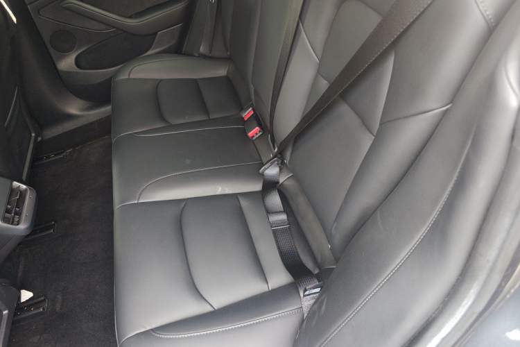 Used Tesla Model 3 2022 Rear-Wheel-Drive Version Left Rear Seat